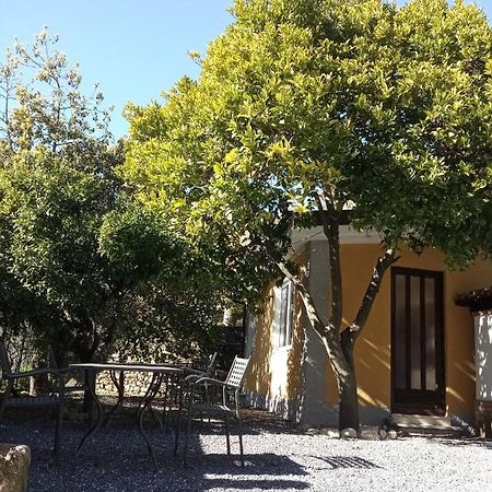 Agriturismo Ardissone Thomas Borganzo Exterior photo